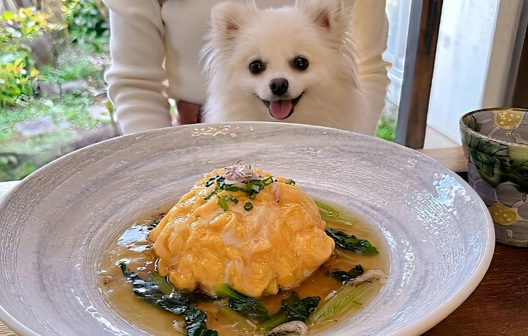 料理2