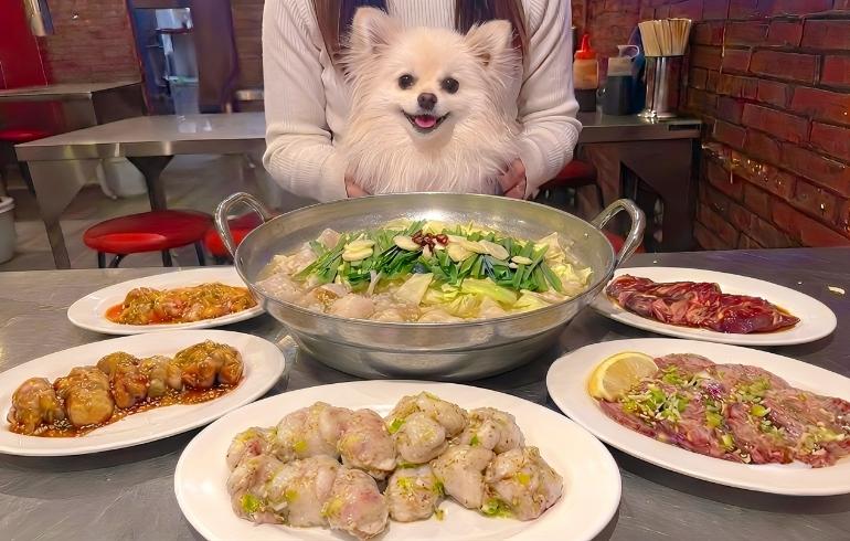 「大阪鶴橋の味 炭火焼ホルモン 友ちゃん」のメイン画像です。