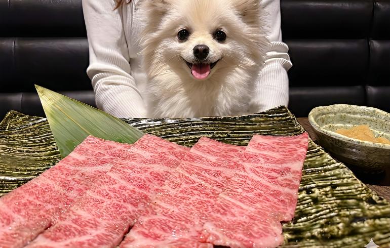 肩三角の焼きしゃぶ