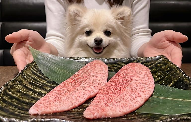 みすじ