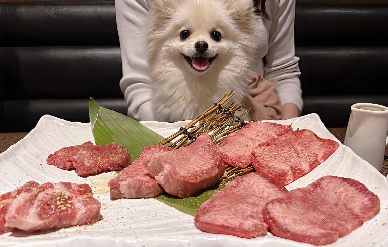 タンづくし5種盛合せ