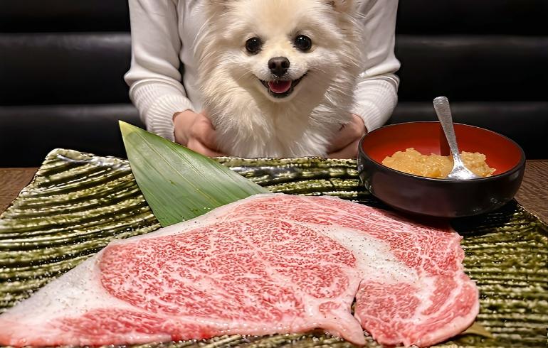 大判リブロース焼きしゃぶ