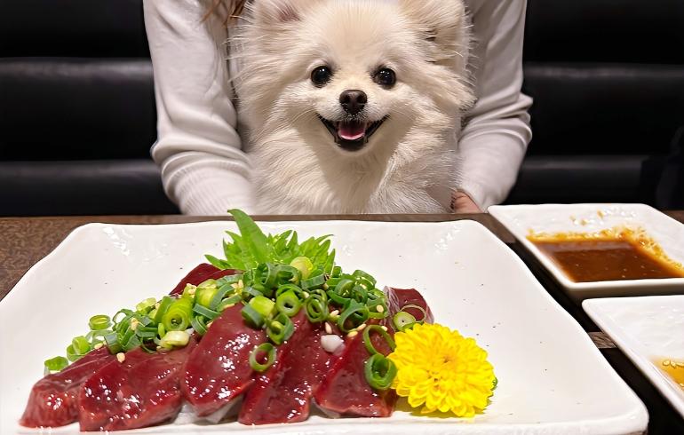 新鮮レバーステーキ