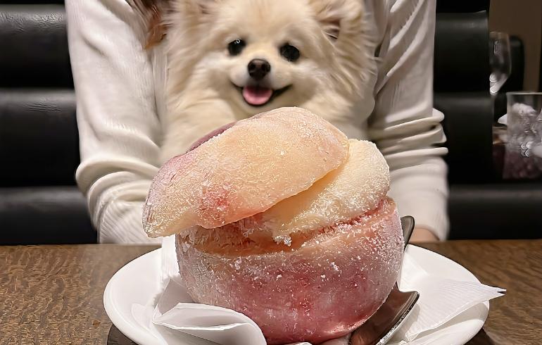 桃シャーベット