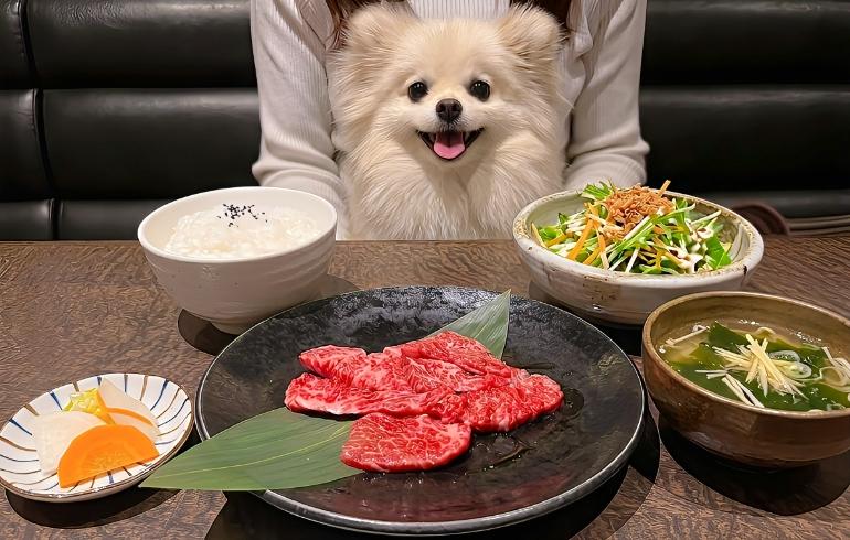 ランチ