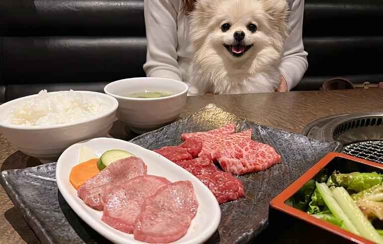 タン、カルビ、牛赤身盛り合わせ