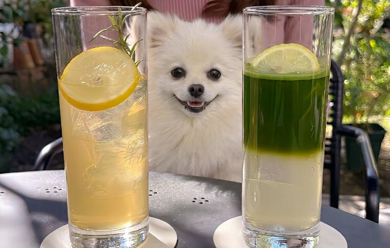緑風庵のこだわりドリンク