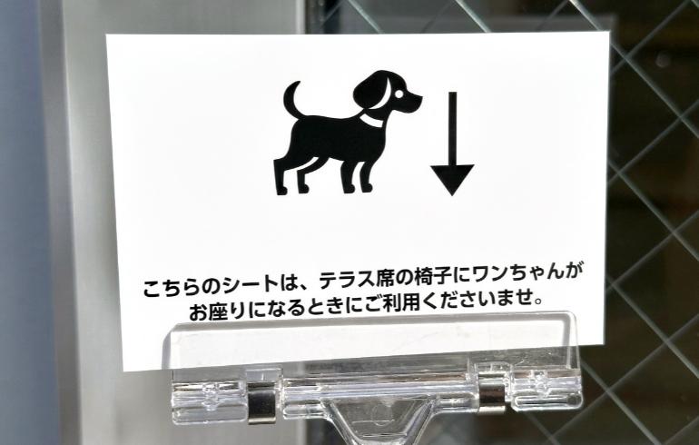 マットでくつろぐワンちゃん