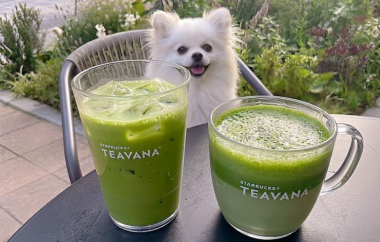 和三蜜 抹茶 ティー ラテ 和三蜜 抹茶 ティー ラテ