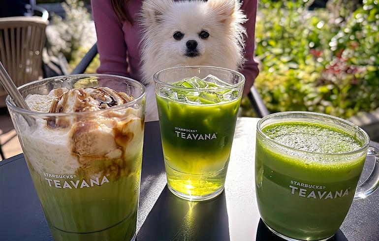 スターバックス ティー&カフェ BASEGATE横浜関内店 - 写真 3