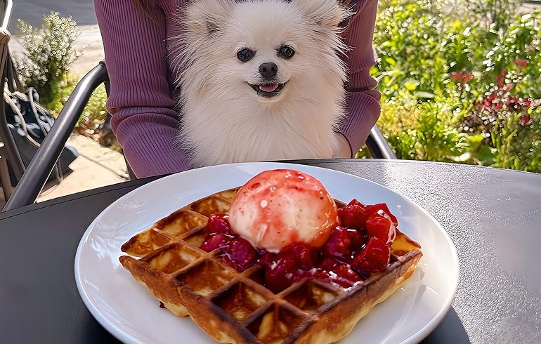 スターバックス ティー&カフェ BASEGATE横浜関内店 スイーツ スターバックス ティー&カフェ BASEGATE横浜関内店 スイーツ