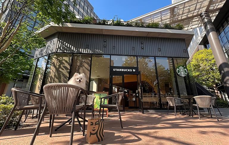 スターバックス ティー&カフェ BASEGATE横浜関内店 外観 スターバックス ティー&カフェ BASEGATE横浜関内店 外観