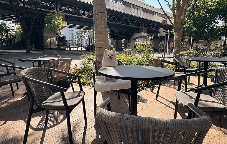 スターバックス ティー&カフェ BASEGATE横浜関内店 テラス席 スターバックス ティー&カフェ BASEGATE横浜関内店 テラス席