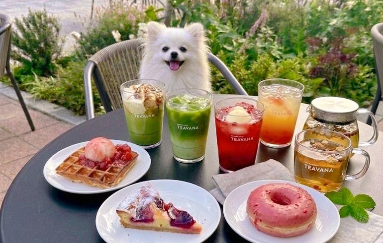 スターバックス ティー＆カフェ BASEGATE横浜関内店