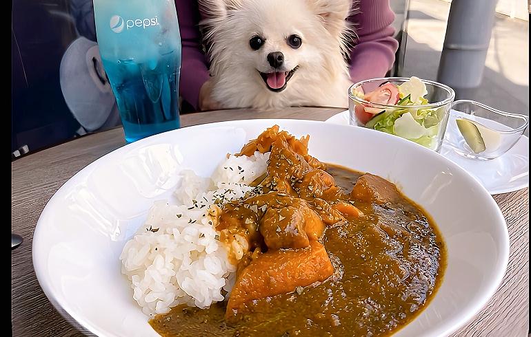 LOVE ME TENDER（ラブミーテンダー） の写真 20