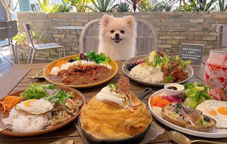 「JINNAN CAFE（ジンナン カフェ）」のメイン画像です。