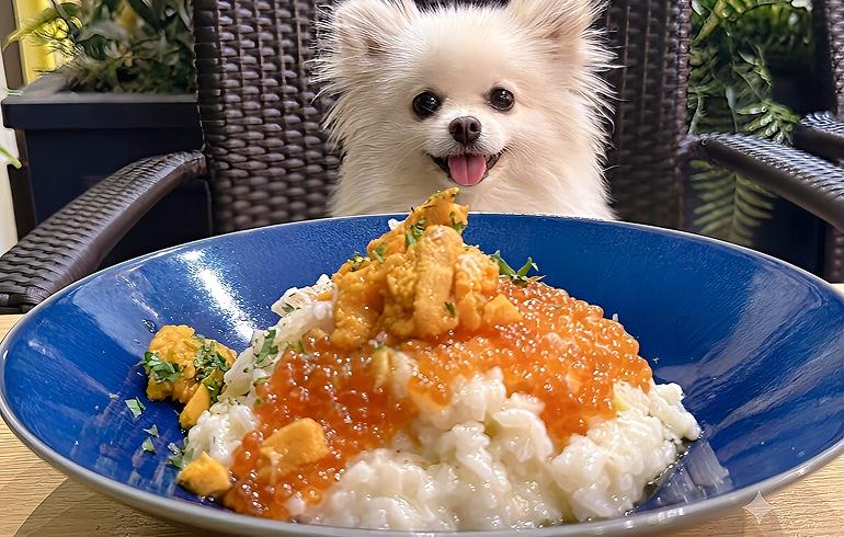 Frutti di Mare（フルッティ ディマーレ）横浜 - 写真 3