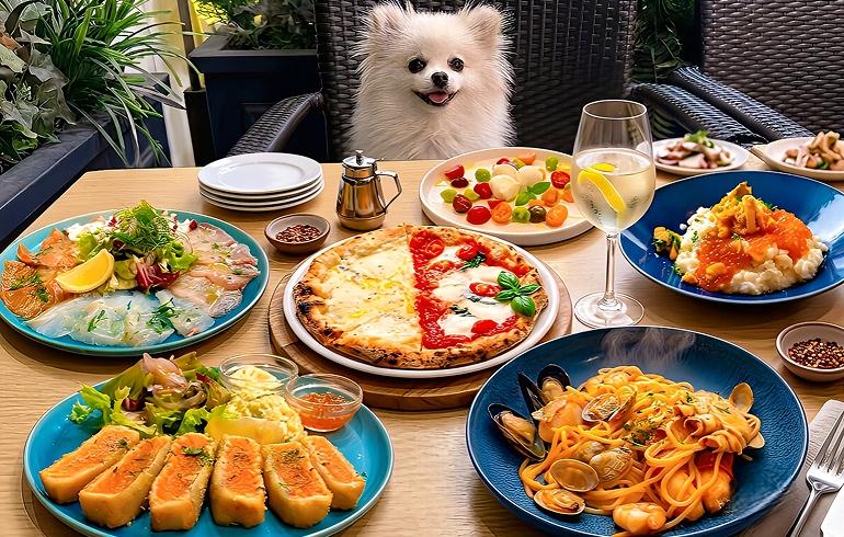 「Frutti di Mare（フルッティ ディマーレ）横浜」のメイン画像です。