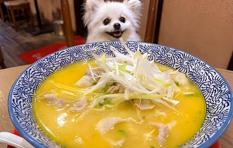 香港亭 中野店 - 写真 4