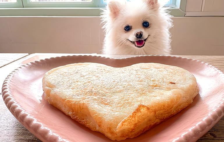 犬用メニュー 犬用メニュー