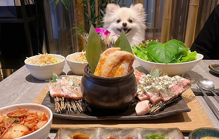 TEJI TOKYO （テジトウキョウ）
