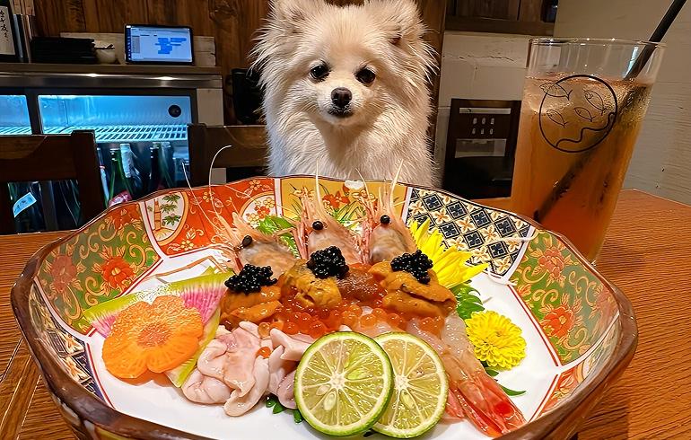 魚がしどまん中 神楽坂店 - 写真 2
