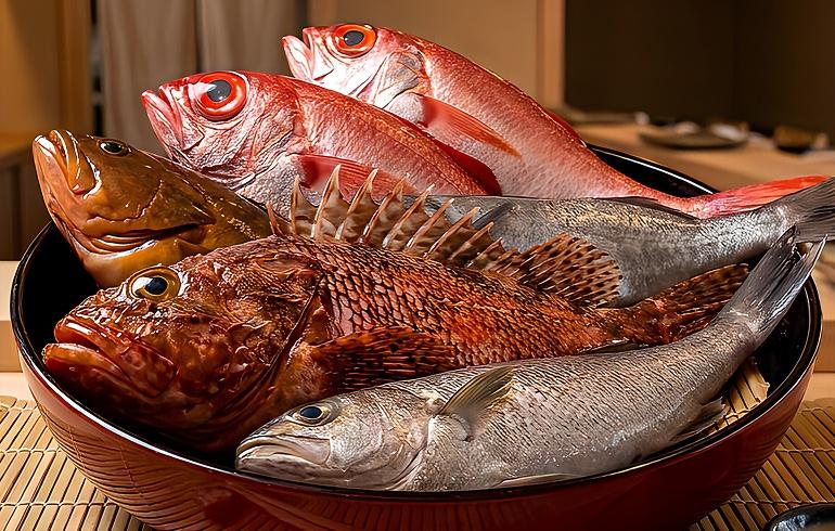 魚がしどまん中 神楽坂店 お店のこだわり 魚がしどまん中 神楽坂店 お店のこだわり