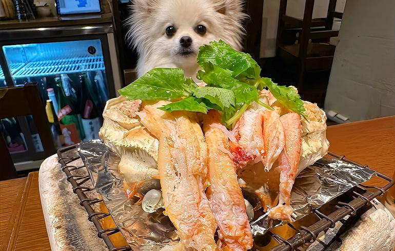魚がしどまん中 神楽坂店 - 写真 3