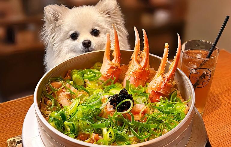 魚がしどまん中 神楽坂店 - 写真 4