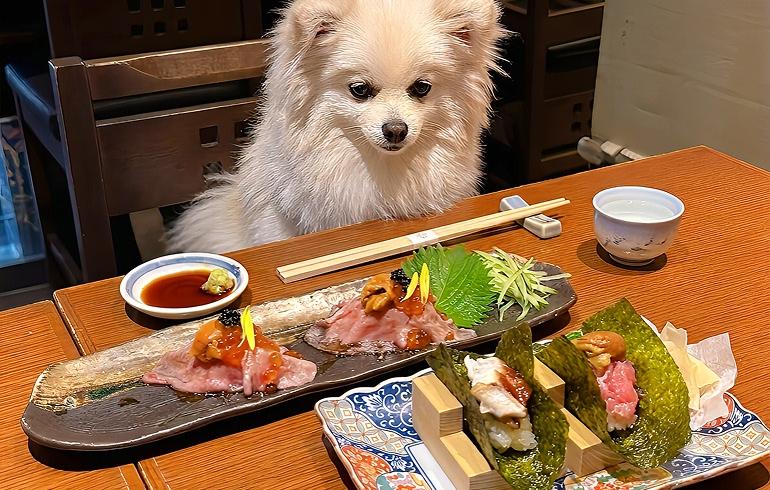 魚がしどまん中 神楽坂店 - 写真 5