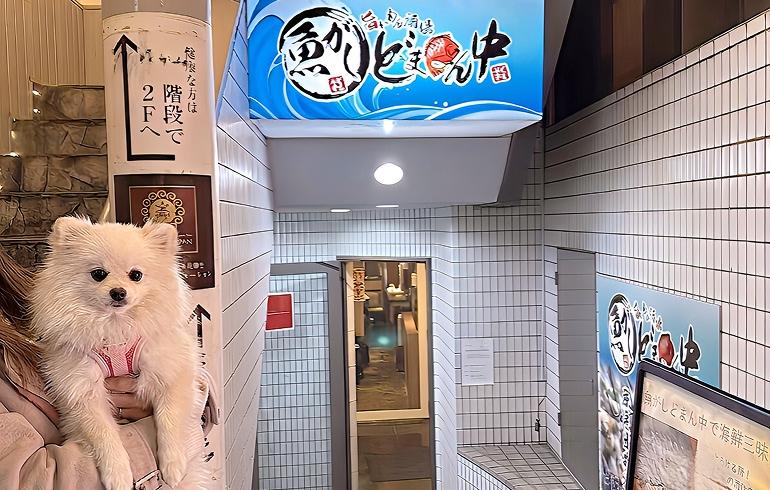魚がしどまん中 神楽坂店 外観 魚がしどまん中 神楽坂店 外観