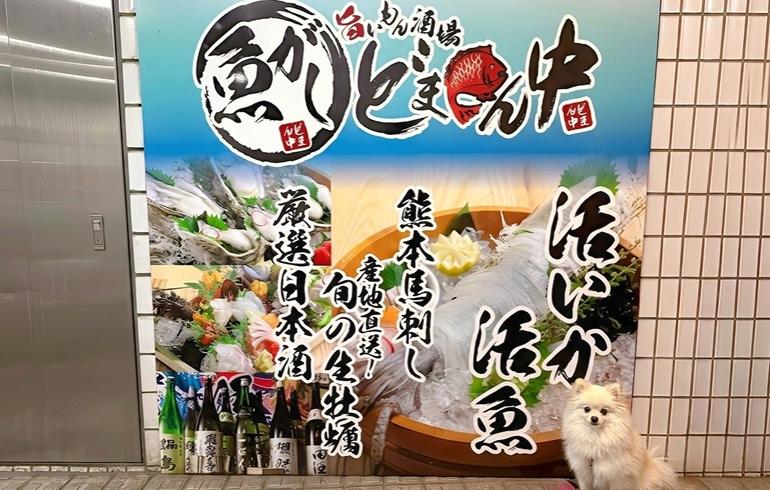 魚がしどまん中 神楽坂店 外観 魚がしどまん中 神楽坂店 外観