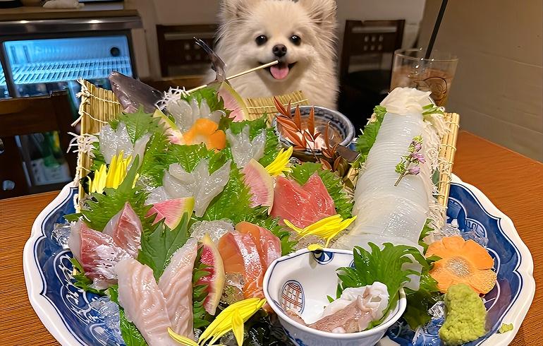 魚がしどまん中 神楽坂店