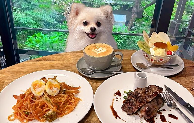 かど屋テラス