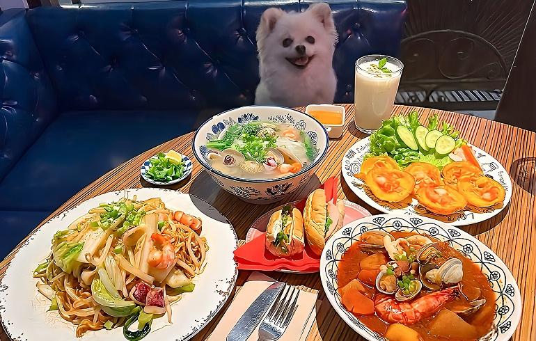 NEWシクロCafe 蒼きパパイヤの香り