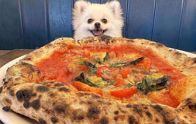 Pizzeria 244（ピッツェリア ニーヨンヨン） - 写真 2