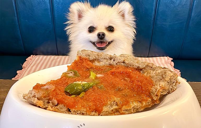 Pizzeria 244（ピッツェリア ニーヨンヨン）の写真（ワンちゃんサービス）4枚目