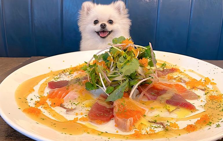 Pizzeria 244（ピッツェリア ニーヨンヨン） - 写真 4