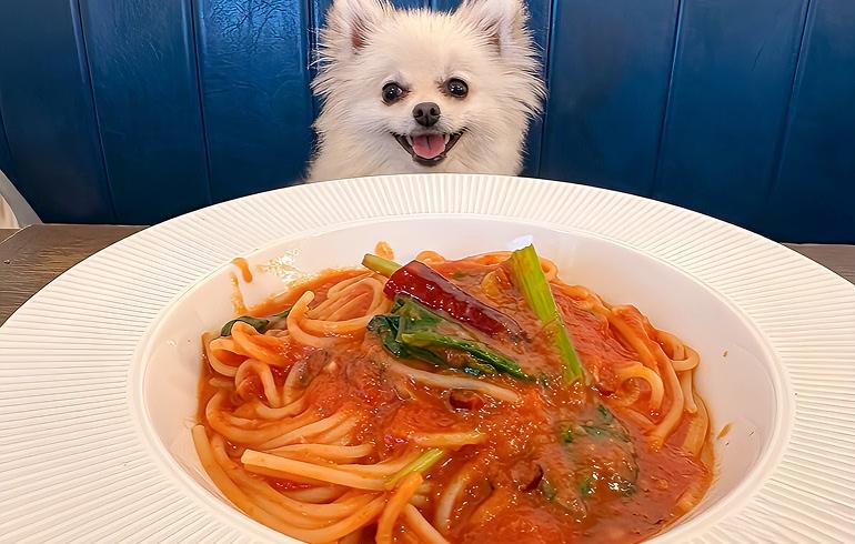 Pizzeria 244（ピッツェリア ニーヨンヨン） - 写真 5