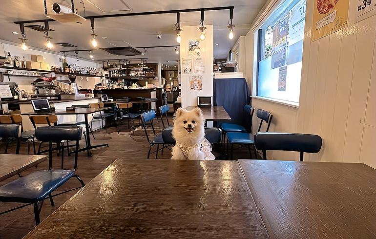 Pizzeria 244（ピッツェリア ニーヨンヨン）の写真（内観）2枚目