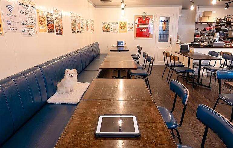 Pizzeria 244（ピッツェリア ニーヨンヨン）の写真（内観）7枚目