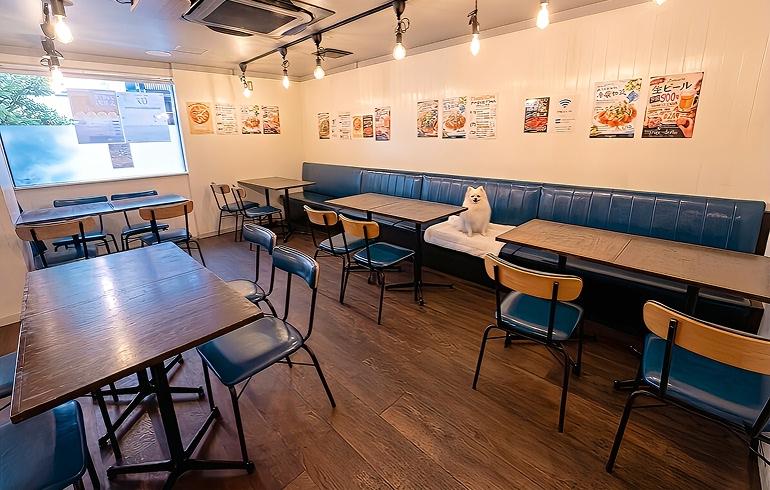 Pizzeria 244 店内・テラス席