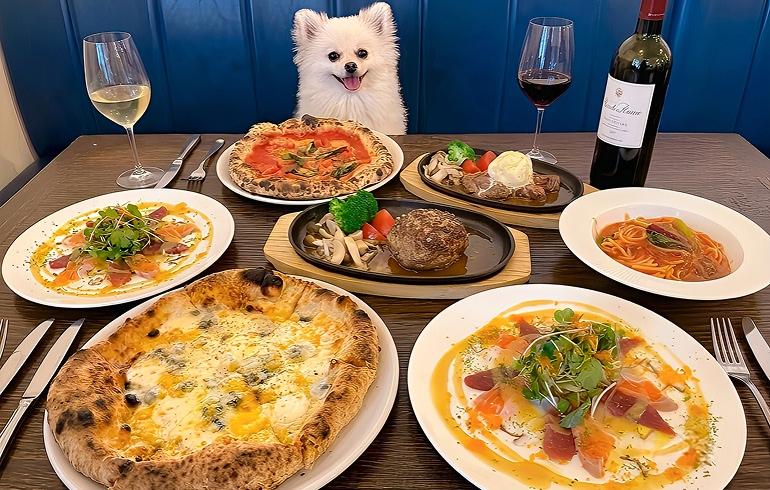 Pizzeria 244(ピッツェリア ニーヨンヨン)
